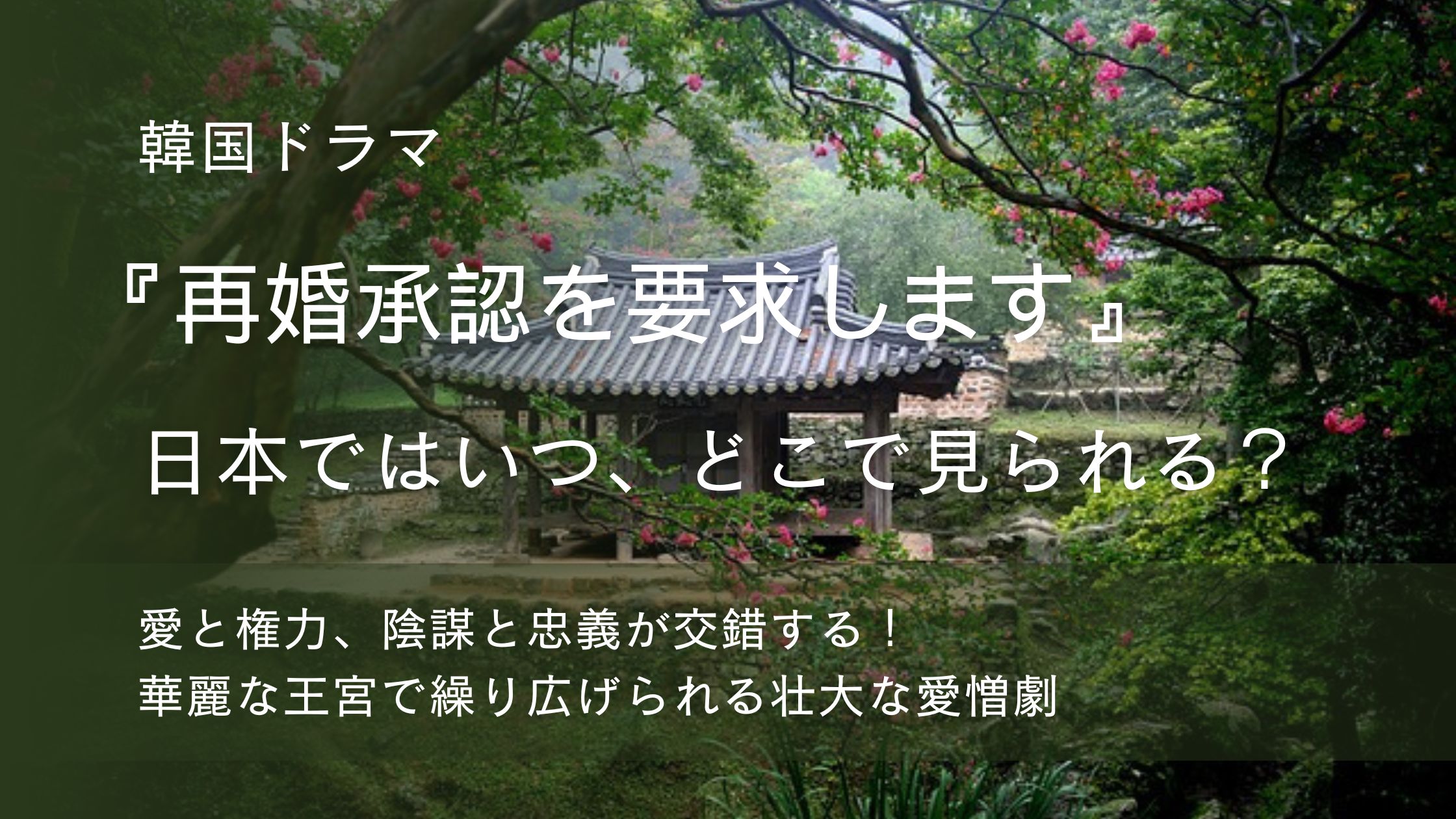 韓国ドラマ「再婚承認を要求します」配信記事アイキャッチ。